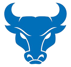 Bull Market